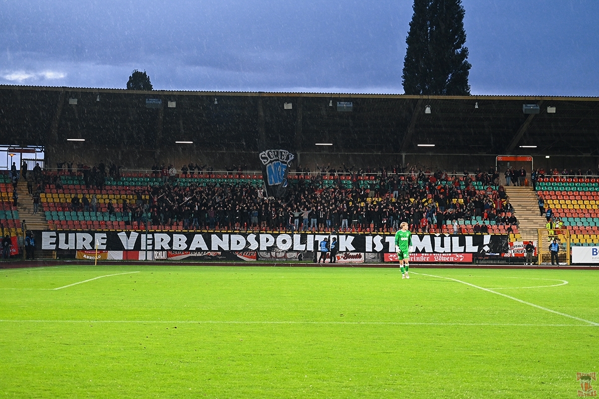 [Bild: IMG_2459.jpeg]