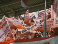DSC09318-Edit