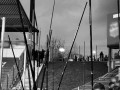 IMG_0483
